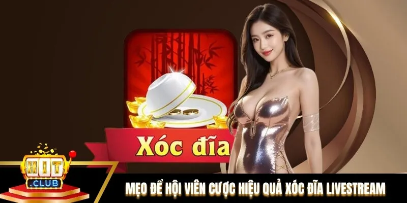 Mẹo để hội viên cược hiệu quả Xóc đĩa livestream